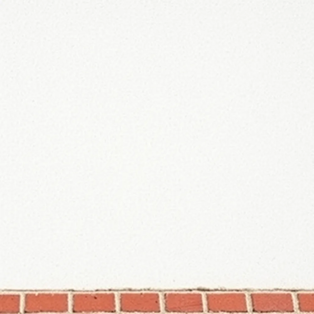 Profesjonalny środek do czyszczenia elewacji