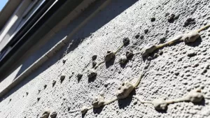 czym szlifować klej na elewacji