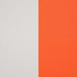 Jaki tynk na elewację silikatowy czy silikonowy