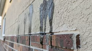 mokre plamy na elewacji po mrozie