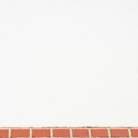 Profesjonalny środek do czyszczenia elewacji