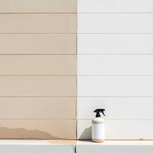 Środek do czyszczenia elewacji