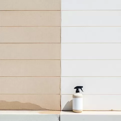 Środek do czyszczenia elewacji